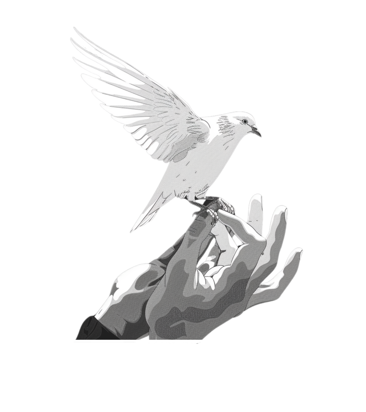 SET FREE